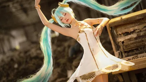 人间布偶猫王一菲