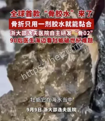 骨胶水牡蛎灵感来源