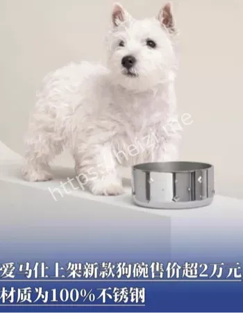 爱马仕2万狗碗